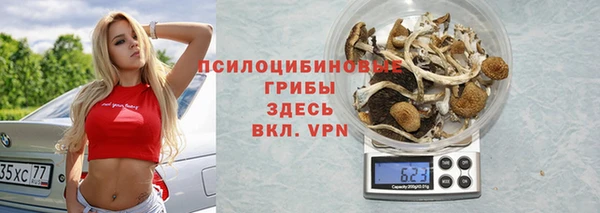 ешки Дмитров