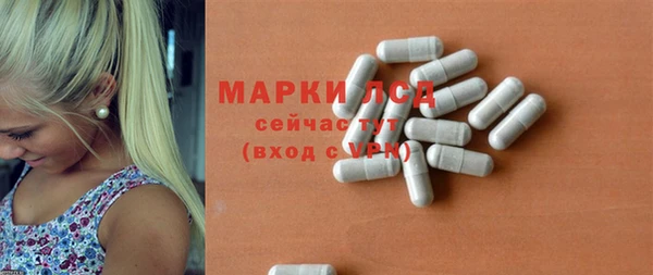 гидропоника Дмитриев