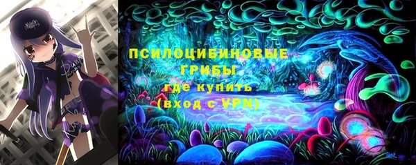 ешки Дмитров