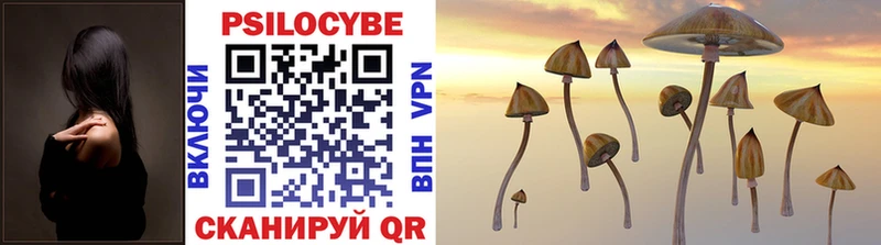 Галлюциногенные грибы Psilocybine cubensis  Купить  Оха 