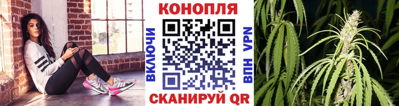 Канабис семена  Купить закладки  Оха 